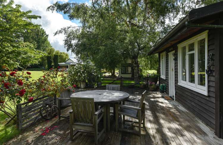 51 Mountain View Road Alexandra_19