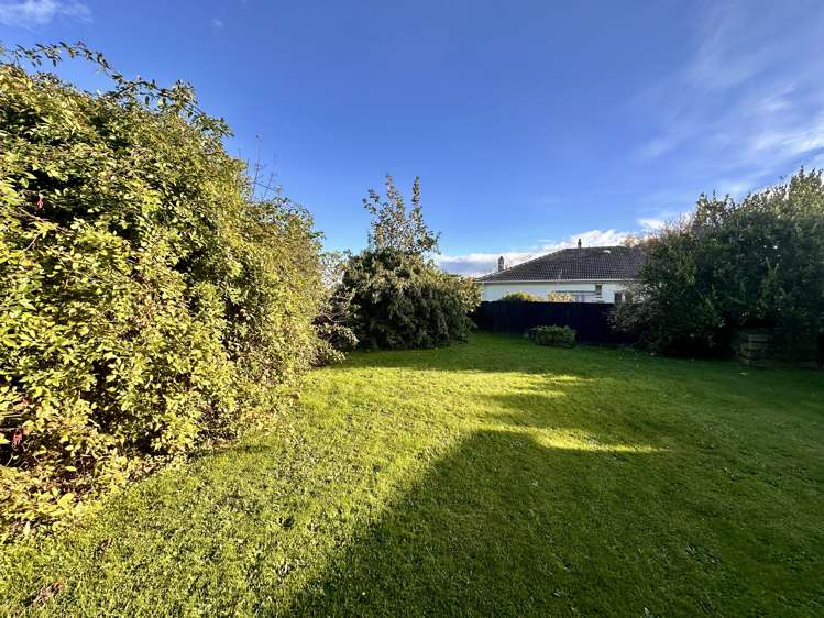 320 Tay Street Turnbull Thomson Park_13