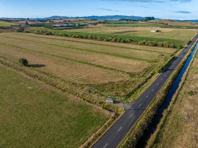 229 Wily Road Puni_3