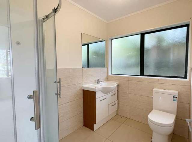 181 Te Irirangi Drive Flat Bush_4