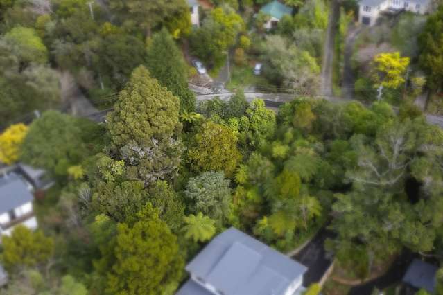 81 Wyndham Road Pinehaven_4