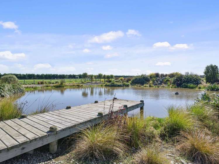 1909 South Eyre Road West Eyreton_4