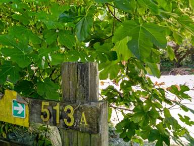 513a Taneatua Road_3