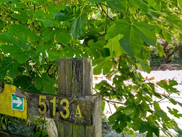 513a Taneatua Road Taneatua_2