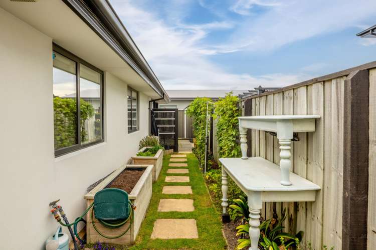 10 Chimera Street Pegasus_25