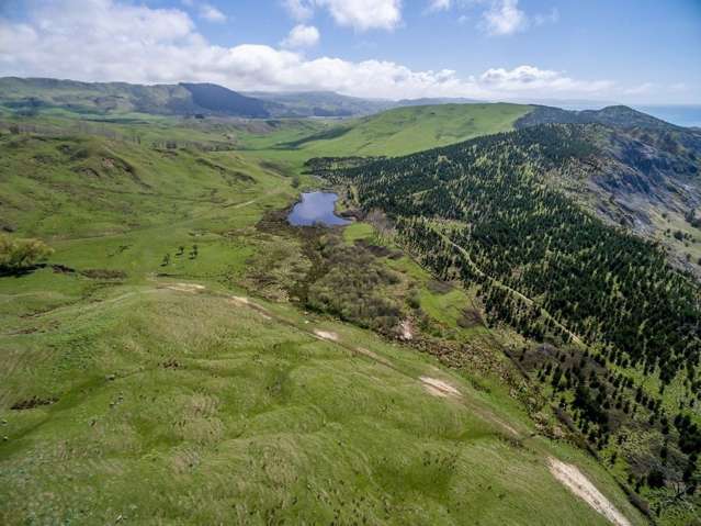 Te Apiti Road Waimarama_2