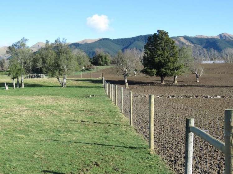 1248 Peel Forest Road Mesopotamia_11