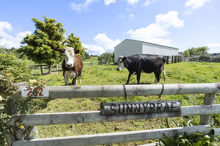 262 Taotaoroa Road Karapiro_25