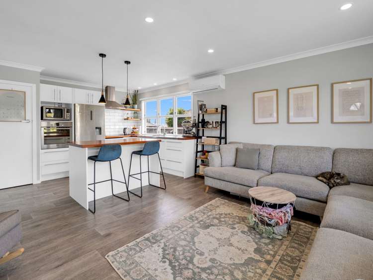 17 Ferguson Street Levin_2