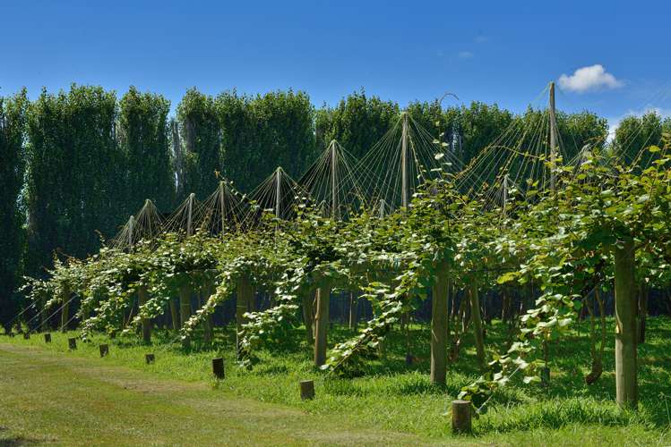 104 College Road Hexton_4