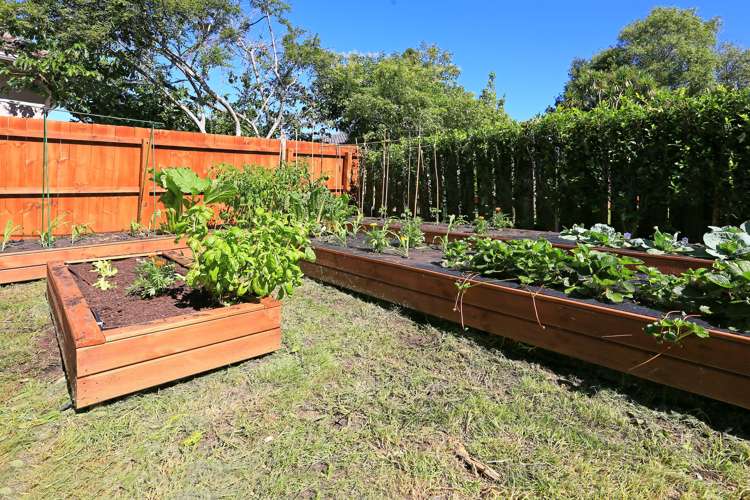 1/6 Riverview Road New Lynn_16