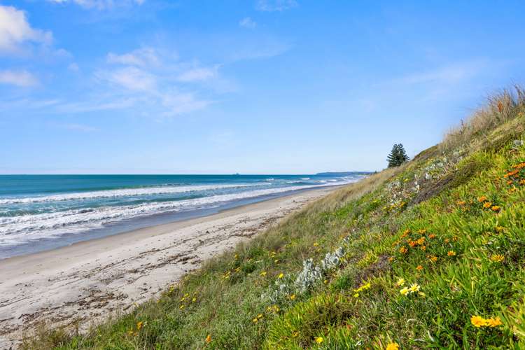 697 Pukehina Parade Pukehina_42
