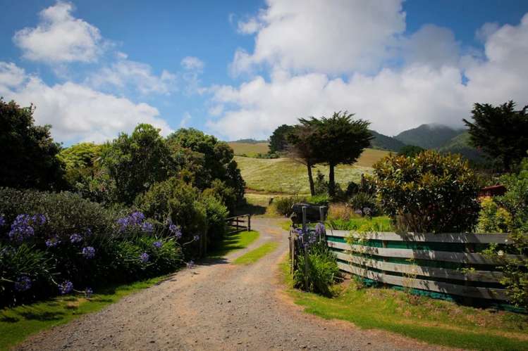 300b Whaanga Road Raglan_26