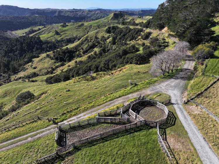 77 Remiger Road Puhoi_4