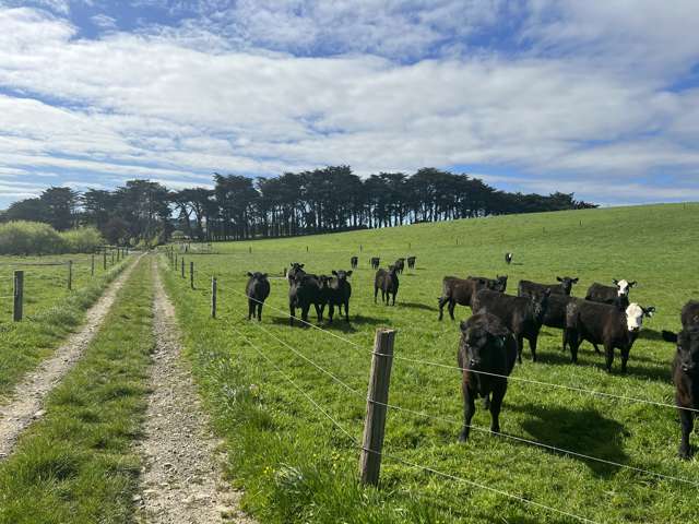 Post Office Road Pahiatua_2