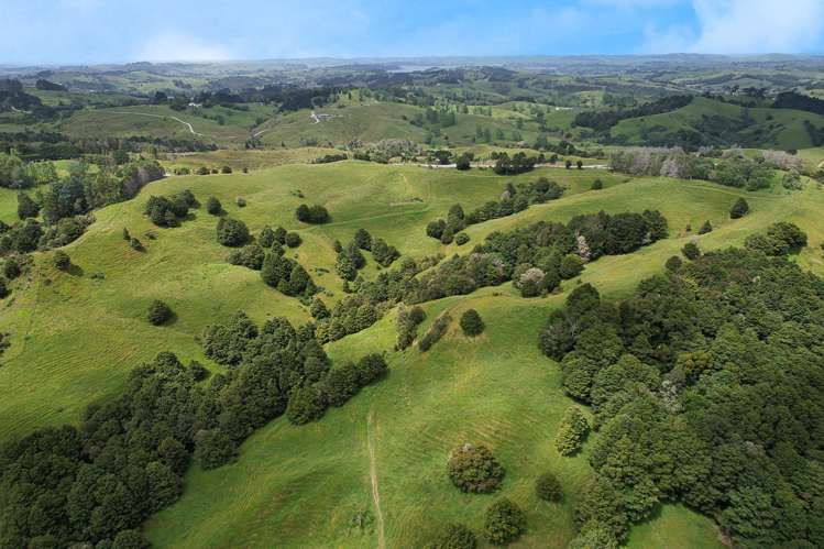 Lot 2/347 Porter Road Paparoa_14