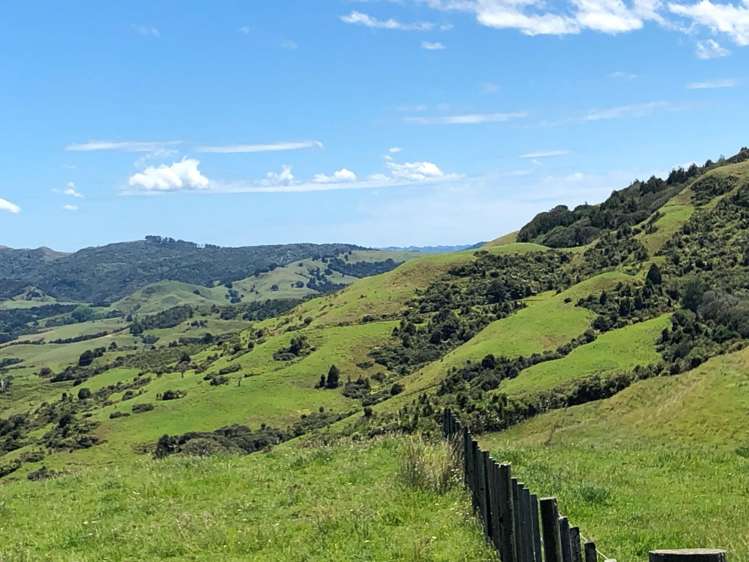 Lot 3 DP539905 Dill Road Kaipara Flats_6