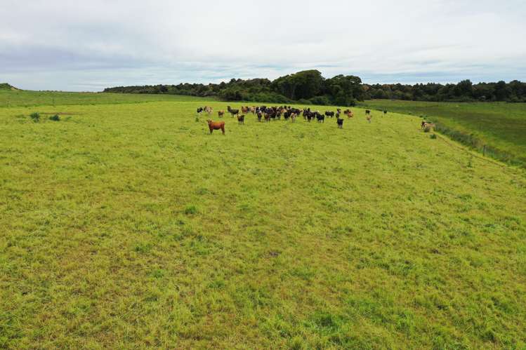 96 Holz Road Wyndham Surrounds_3