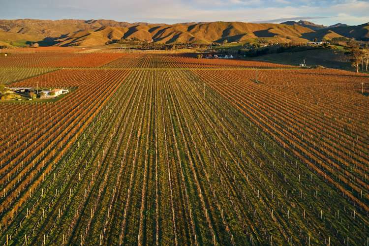 36 Wrekin Road Fairhall_7