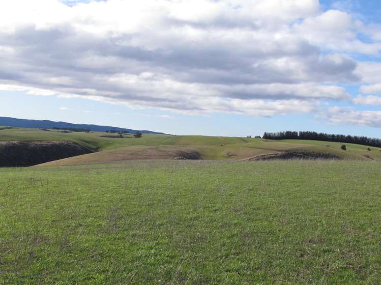 168 Remarkable Road Lawrence_17