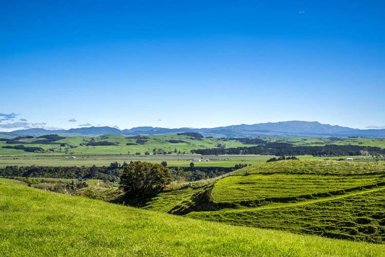 Aorangi Road (Lot 2) Maraekakaho_6