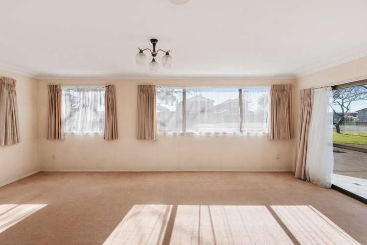 78b Sixth Avenue Tauranga Central_5