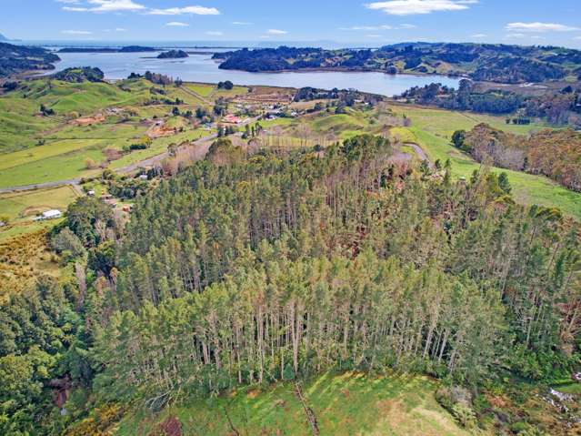 3.1 Hectares | No Covenants | Harbour Views