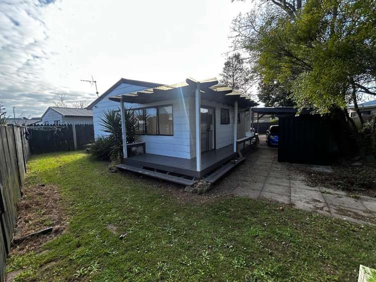 137B Eversham Road 11229_16