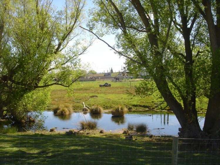 588 Waipiata Naseby Road Ranfurly_5