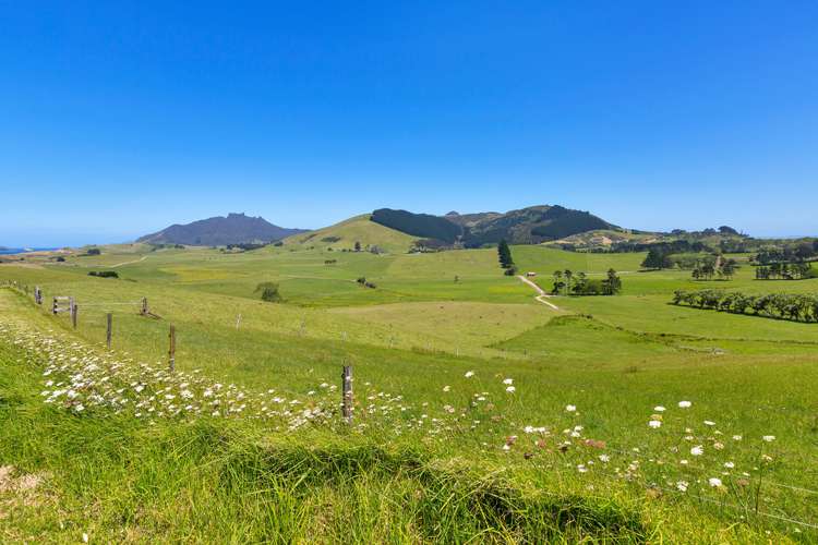 81 Blue Horizon Road Whangarei Heads_5