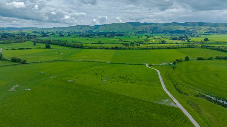 672 Ruawhata Road Pahiatua_8