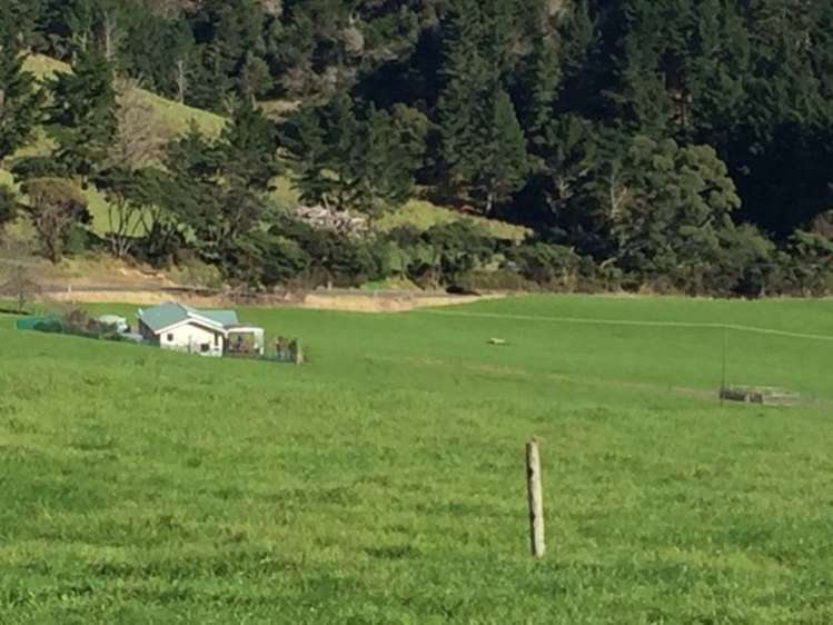 1982 South Head Road South Head_11