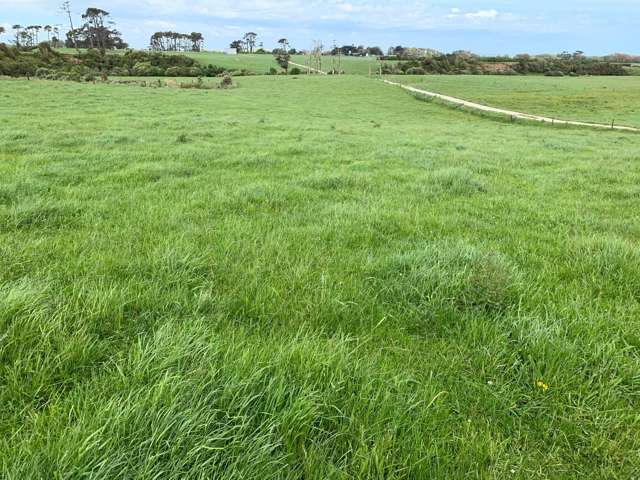 1703 Eltham Road Riverlea_1