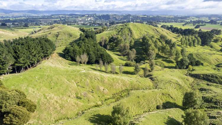 124 Alfredton Road Eketahuna_18