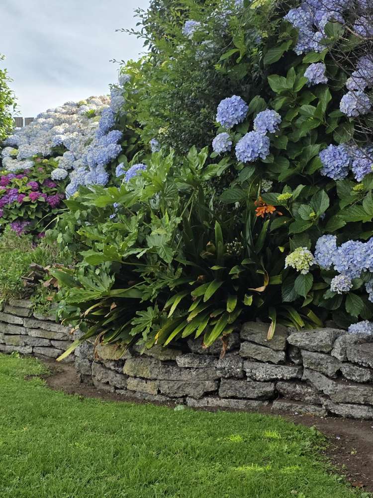 32a Silvan Place Bell Block_9