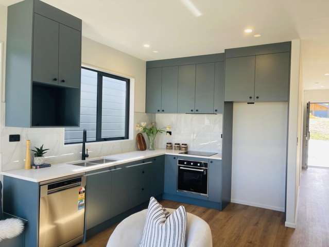 28 Nanjing Road Pukekohe_1