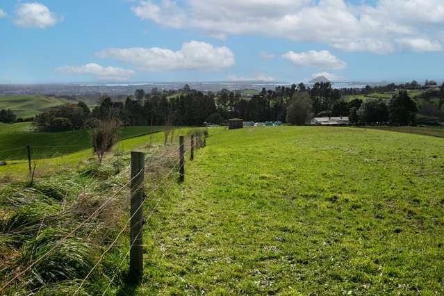 816 Upper Ohauiti Road Tauranga Surrounds_2