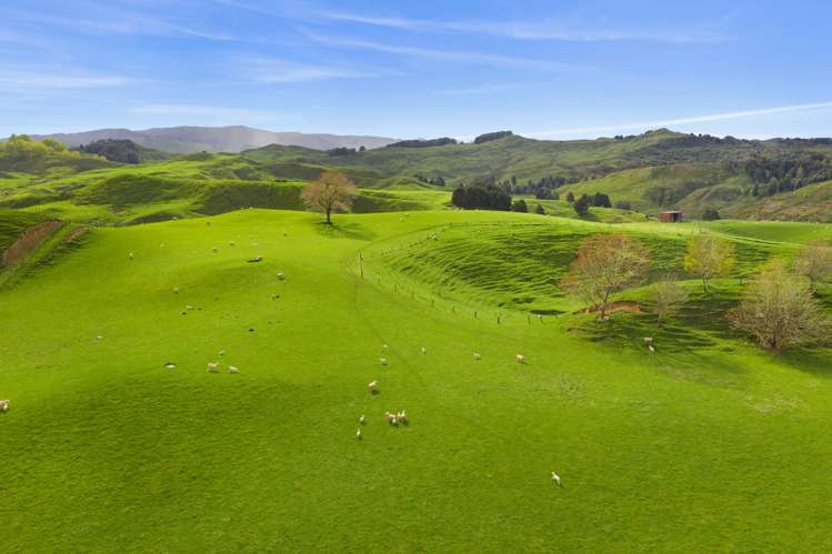 486 Ngatarawa Road Mahoenui_13