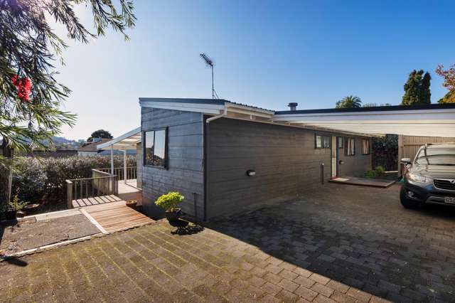 53a Landscape Road Mount Eden_1