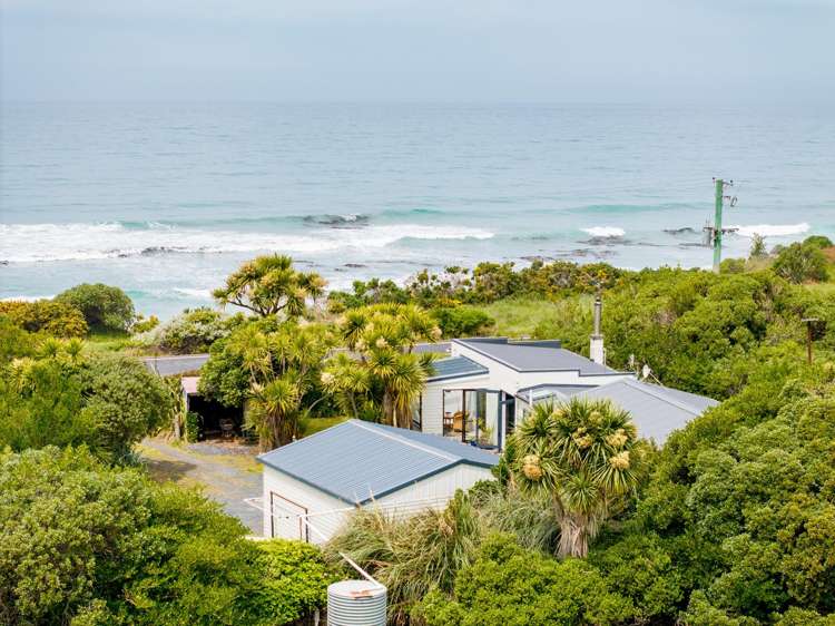 384 Taieri Mouth Road Kuri Bush_48