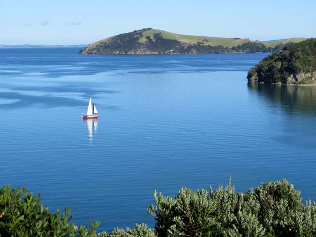 1900 Wyuna Bay Road Coromandel_2