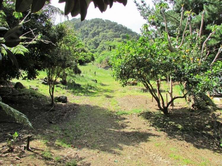 124 Victoria Street Whakatete Bay_6