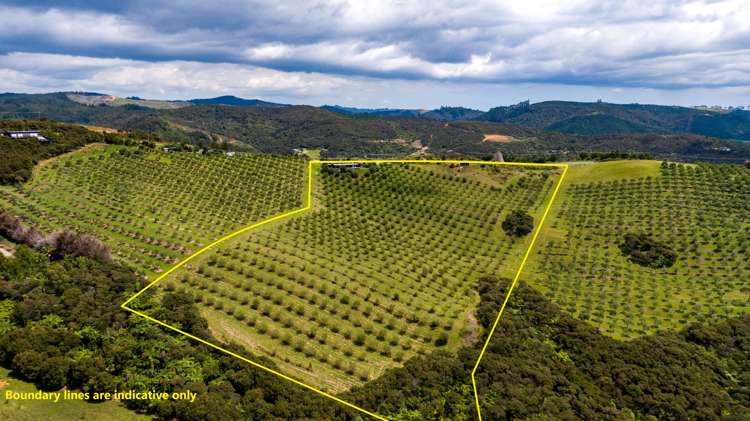 92 Frantoio Ridge Road Mangonui_14