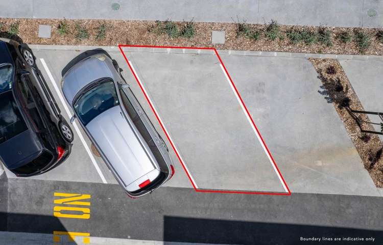 85 Hadlow Terrace Grey Lynn_14