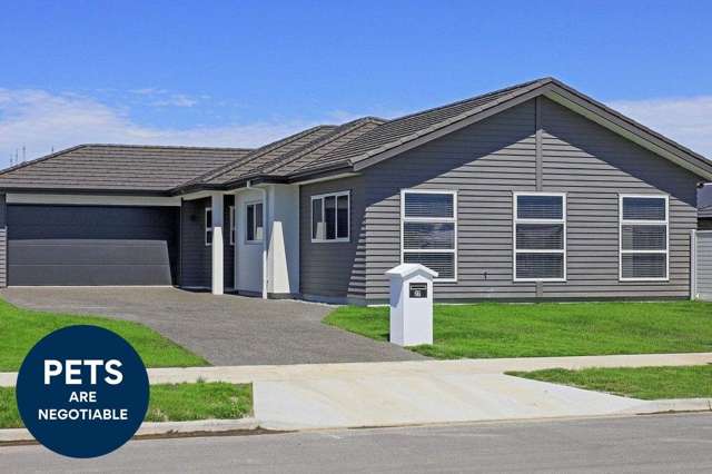 Wai Whatu Street, Te Awa