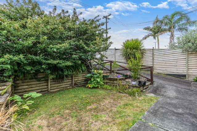 8 Budgen Street Mount Roskill_1