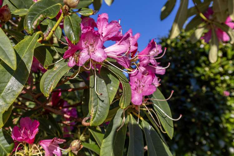34 Kaitawa Crescent Paraparaumu_25