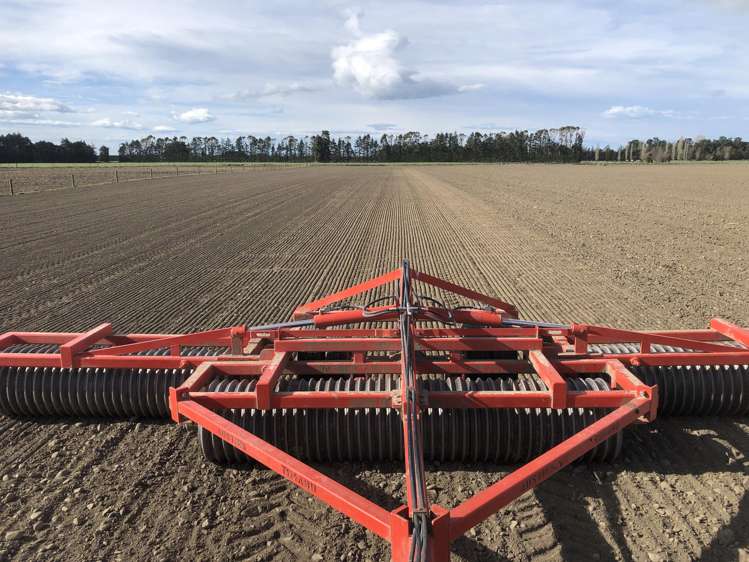 1710 Ealing Montalto Road Ashburton_40