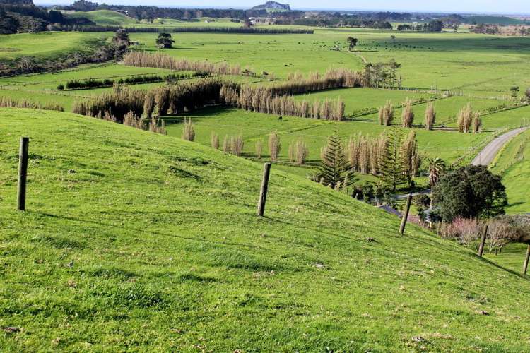 187 Katavich Road Awanui_24