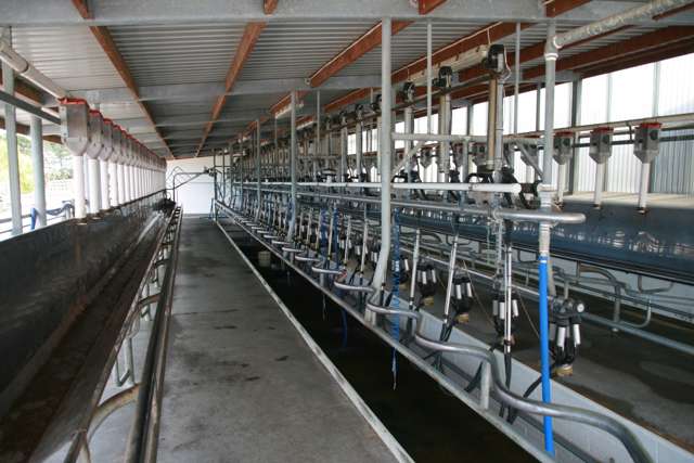 SUPERB RIVERLEA DAIRY FARM